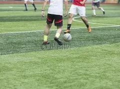 秘码达人,期排列三神,级五码组合,上海体彩,上海体彩网,上海体彩网官网,体育彩票,体彩大乐透,竞彩足球,体彩公益