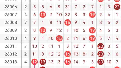 王五定码分析：2026年第050期3D彩票质合前区十码推荐