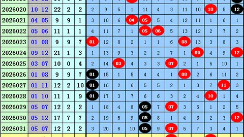 大乐透2026067期海滨3D推荐专家质合分析一语定胆
