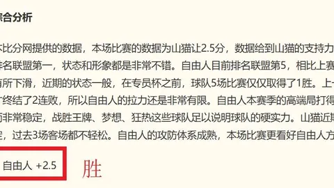 夏季赛全面解析：独家胜负与总分深度指南